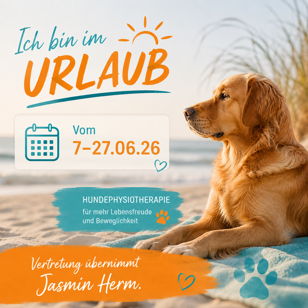 Termine ab Mitte Juli können gerne schon vereinbart werden. 