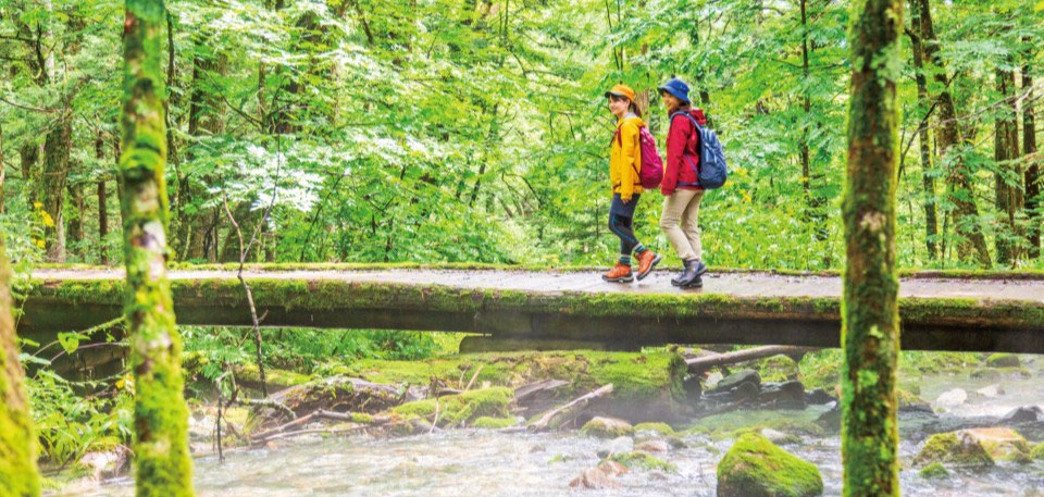 Wooden walking path in Kamikochi with forest scenery and mountain air.
