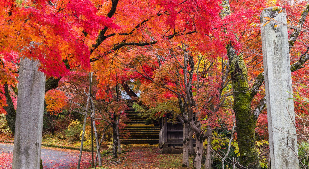Autumn scenery in Takayama with seasonal colors and traditional streets.