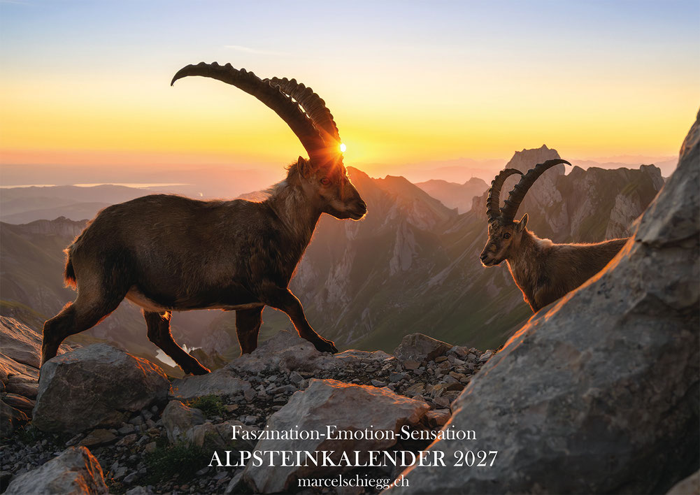 Alpstein Kalender, Alpstein Bildkalender, Bilder Alpstein, Alpsteinkalender