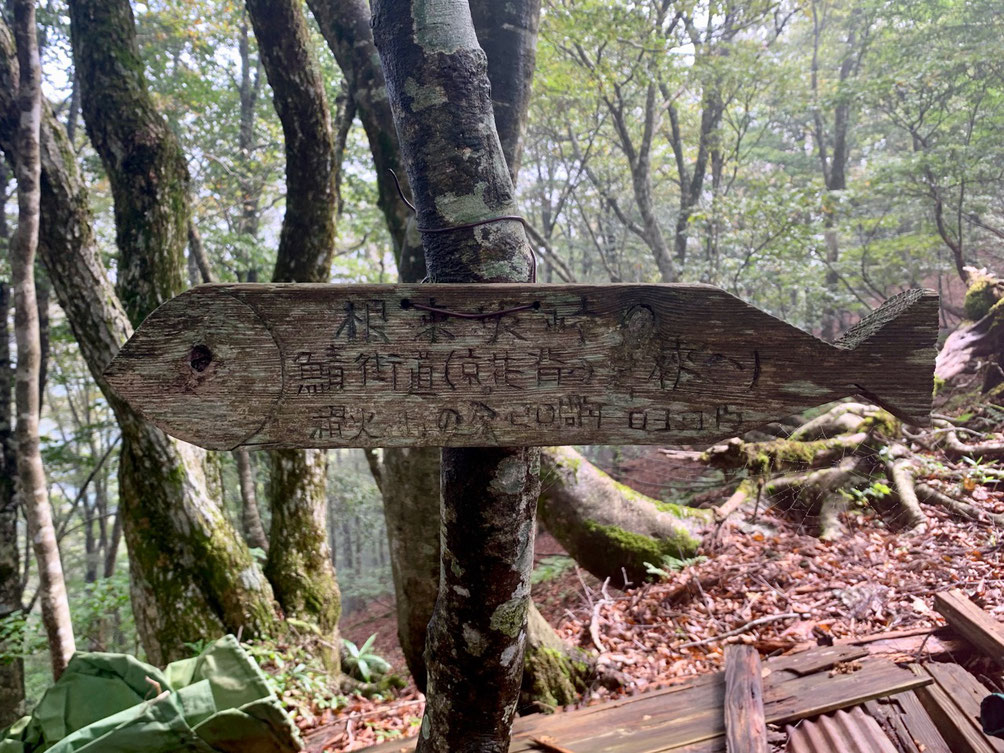 Fish-shaped road signs along the Saba Kaido or "Mackerel Road."