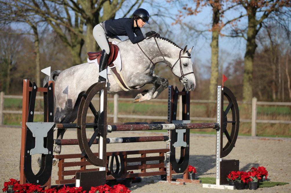 Do I have to pay VAT over an auction horse? Horse Auctions Europe