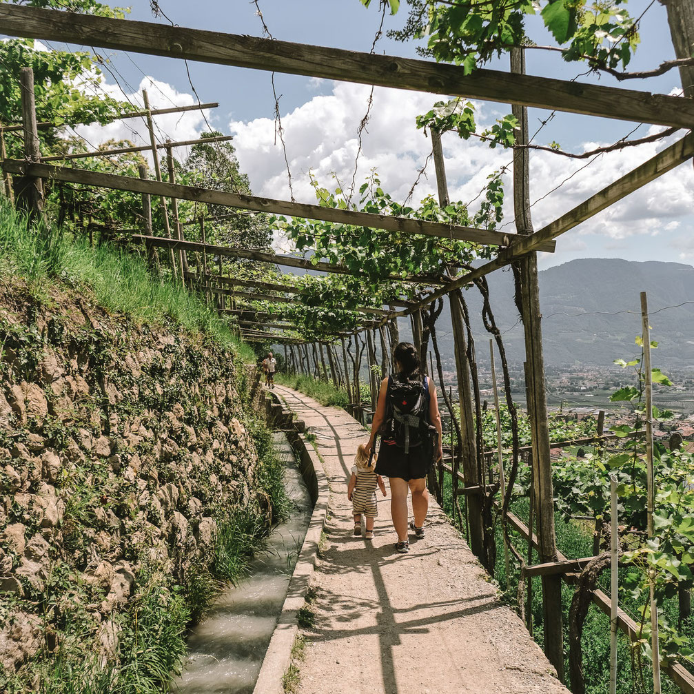 Wandertipp mit Restaurantguide: ALGUNDER WAALWEG, einfache Wanderung bei Meran ©Mela Hipp