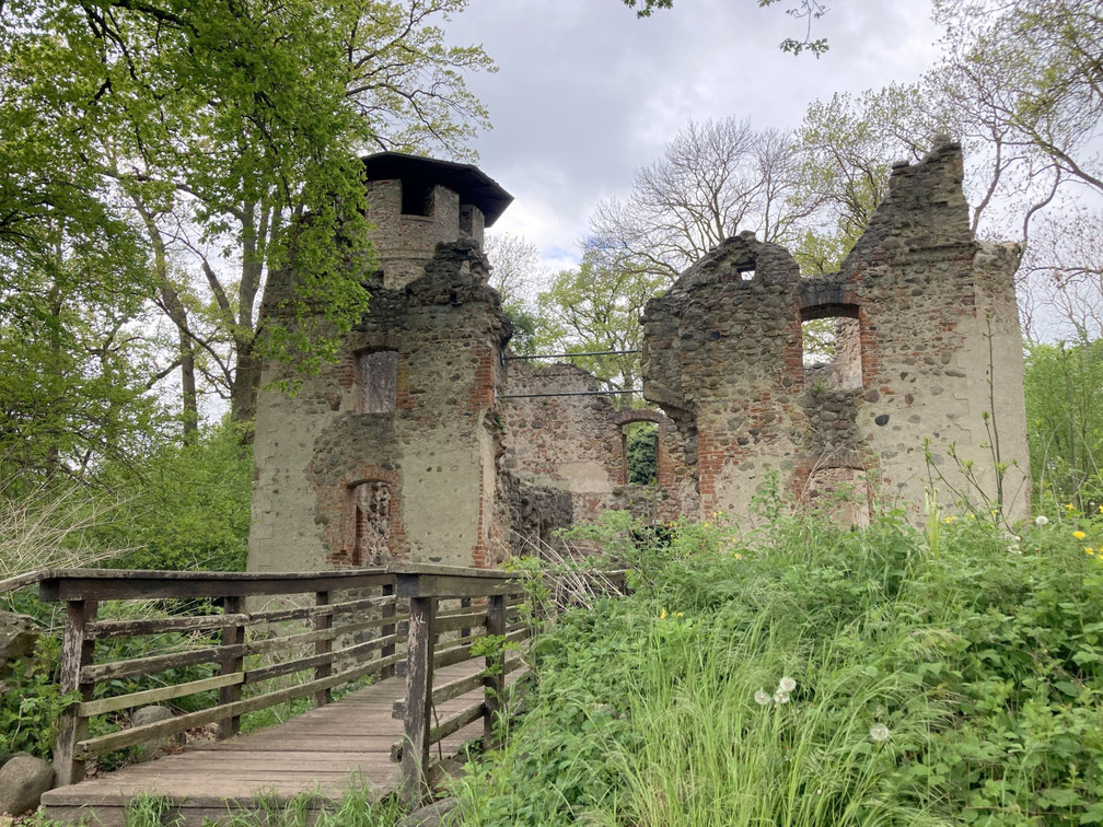 Die Pilgerstrecke führt am 6. Juni durch den Wald bis zur Ruine der Veste Landskron. Foto: PEK / Sebastian Kühl