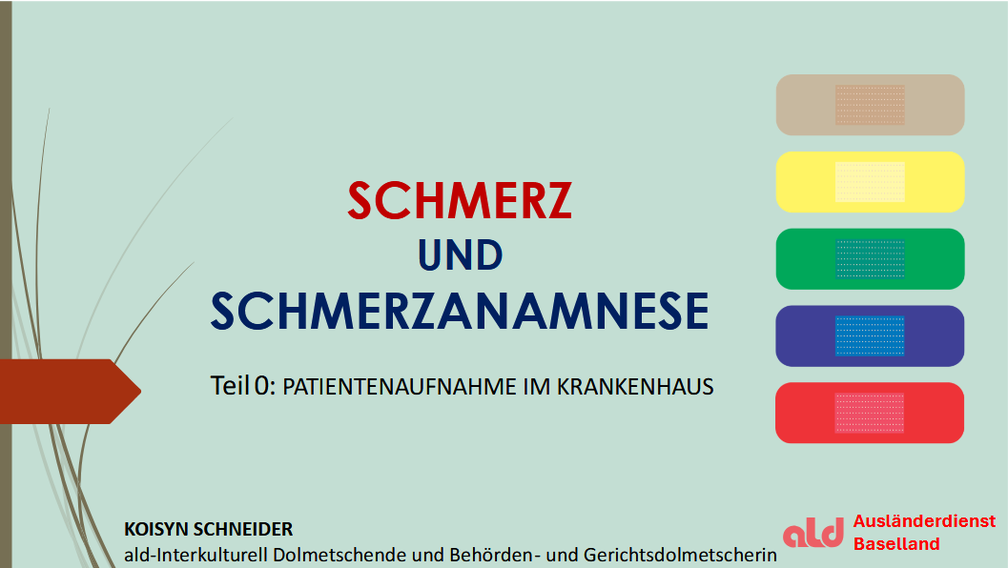 Koisyn Schneider: Weiterbildung "Schmerz und Schmerzanamnese"-"Patientenaufnahme im Krankenhaus"