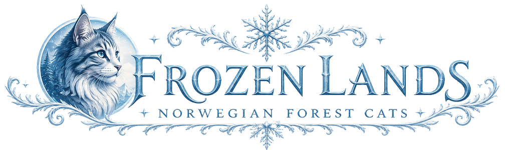 Frozen Lands - Gatos Bosques de Noruega
