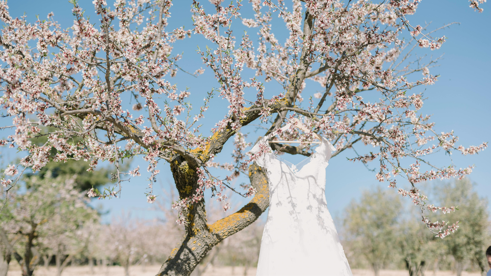 Mariage à Pâques : Quand le printemps célèbre l’amour - Crédit photo : Alina Skazka