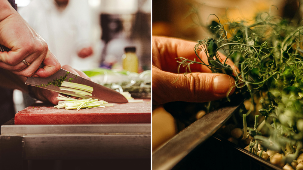 Un Repas Éco-Responsable pour un Mariage Inoubliable - Crédit photo : Tous droits réservés