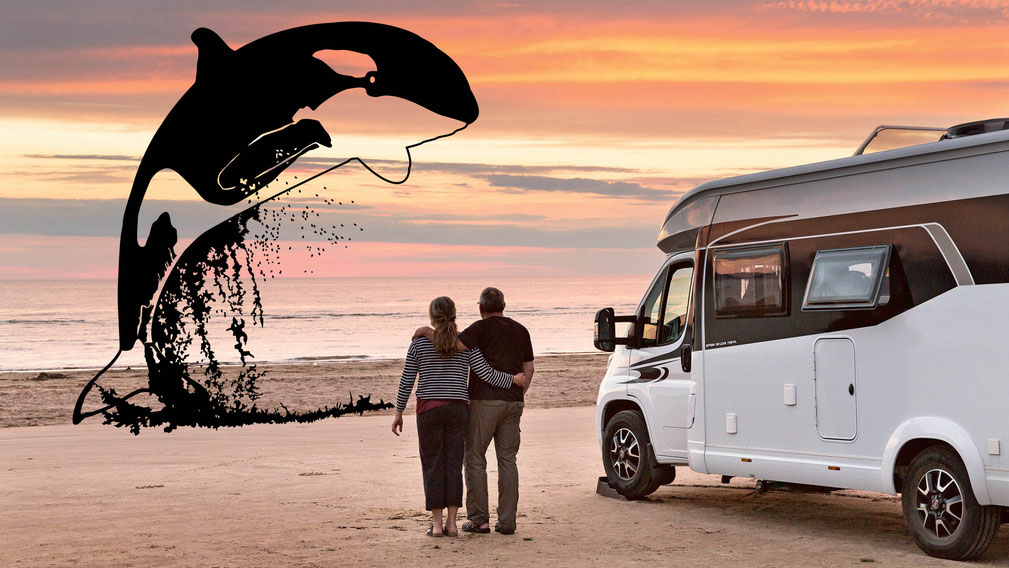 Wohn und Reisemobil Aufkleber Morelo, Hymer, Bürstner, Niesmann+Bischof, Adria