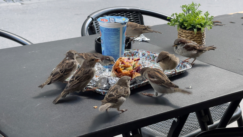 Bern, 6. September 2025