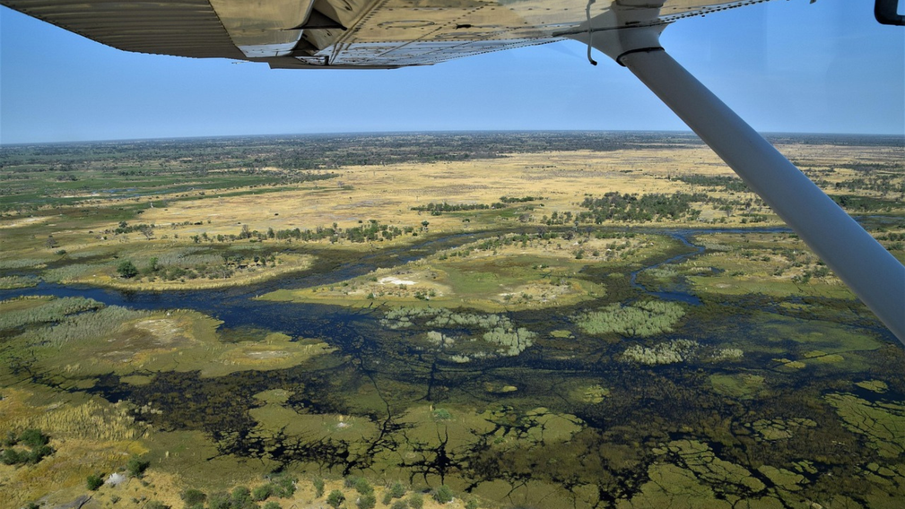 Safari chic au cœur de l’Okavango - Crédit photo : Tous droits réservés