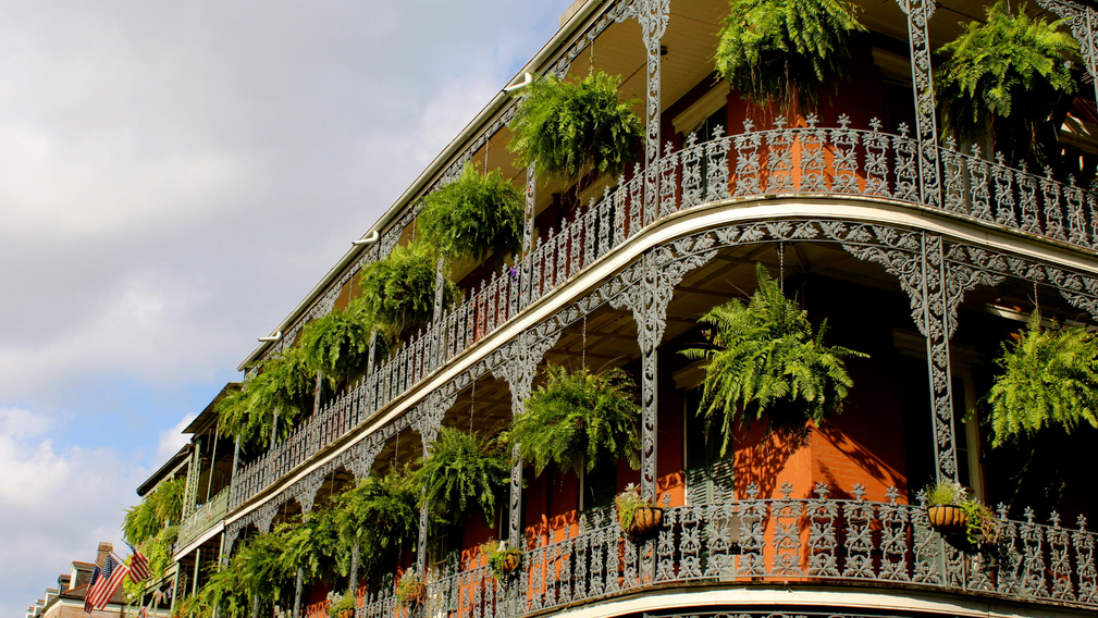 Voyage de noces spécial Halloween Quand l’amour flirte avec le mystère… - Crédit photo : Tous droits réservés