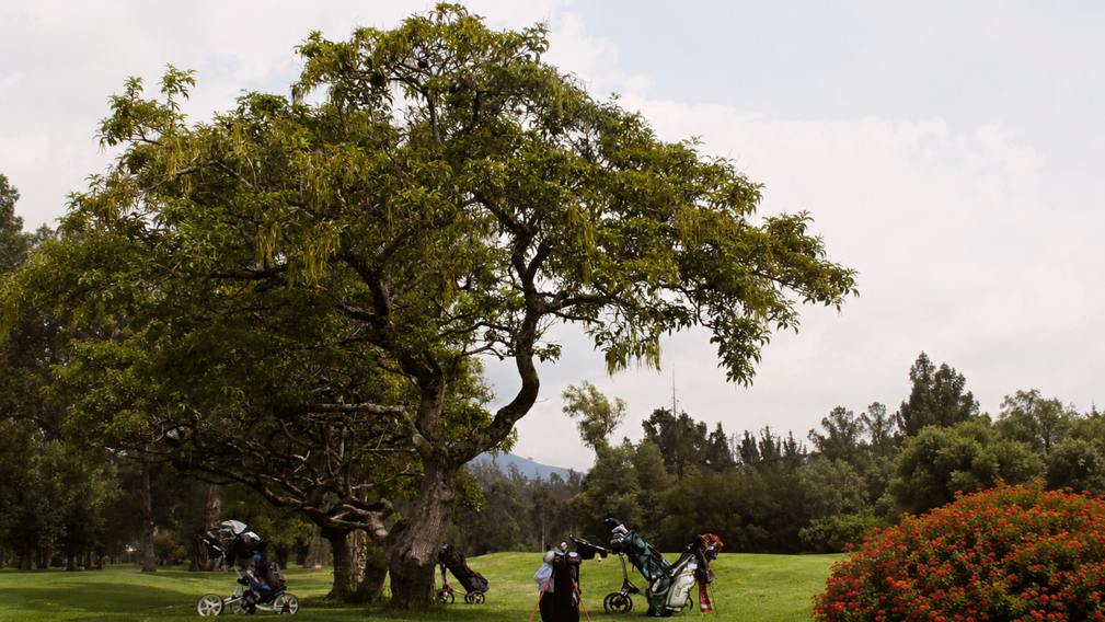 Le golf, l'idée chic et conviviale pour un enterrement de vie de jeune fille ou de garçon - Crédit photo : Dave Garcia