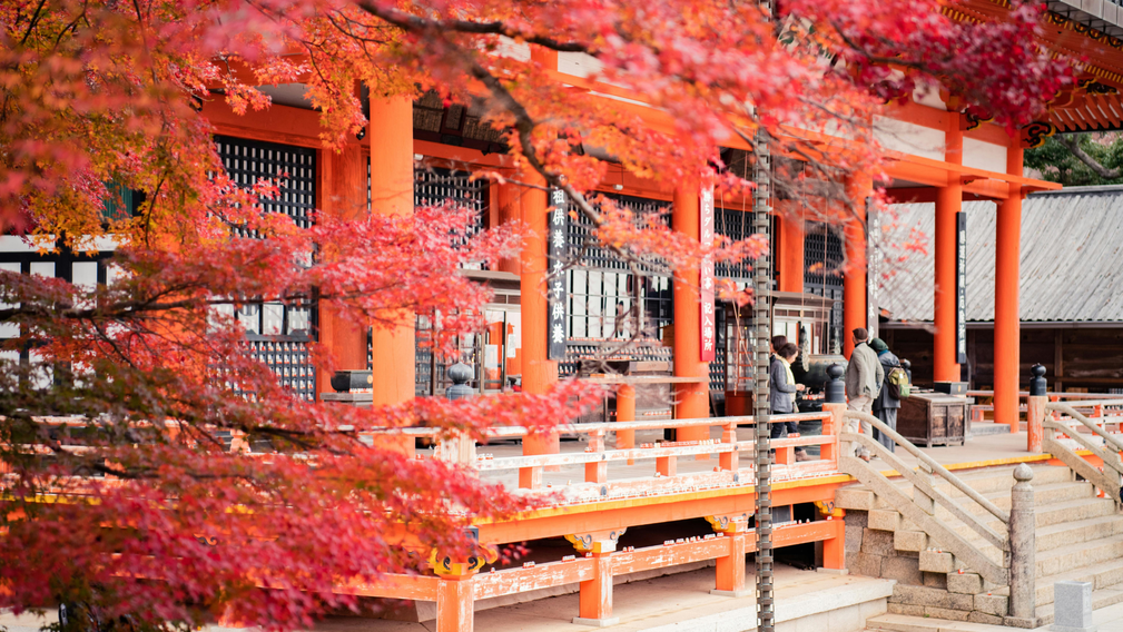 Lune de miel au Japon : l’automne en rouge et or - Crédit photo : Tous droits réservés