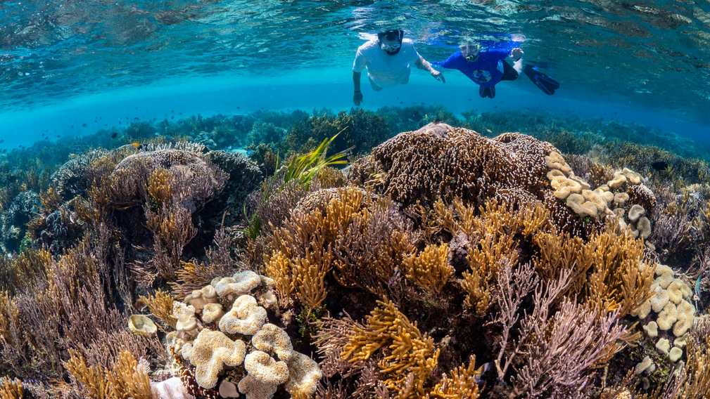 Noces de Corail : 11 ans d’amour flamboyant - Magazine Un Jour Un Oui - Crédit photo : Tous droits réservés