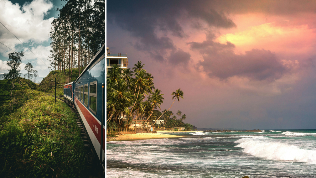 Sri Lanka : Nature luxuriante et plages dorées - Crédit photo : Tous droits réservés