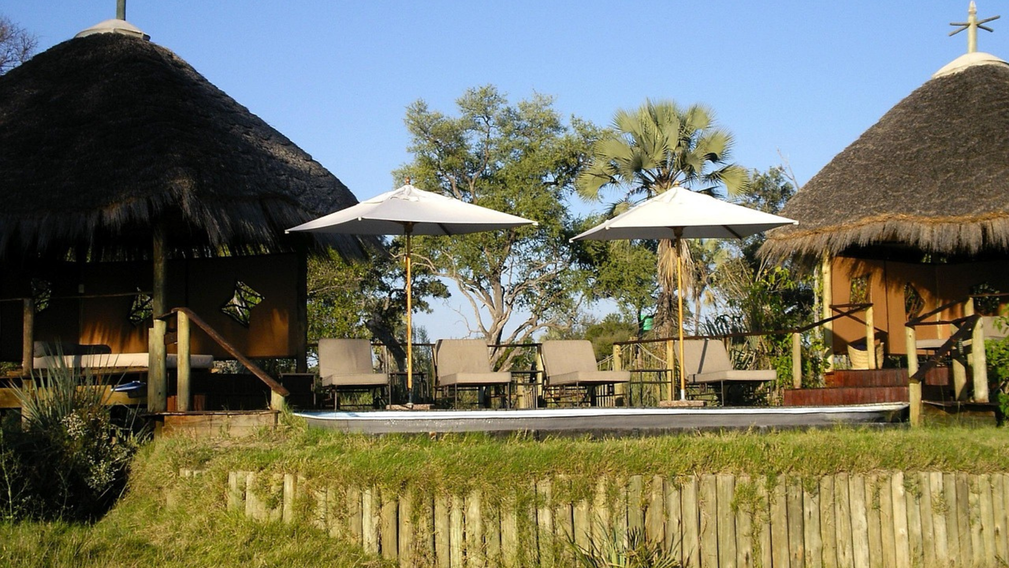 Safari chic au cœur de l’Okavango - Crédit photo : Tous droits réservés