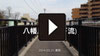 #12 さくら情報③「八幡川(泉橋下流)」 14.03.31