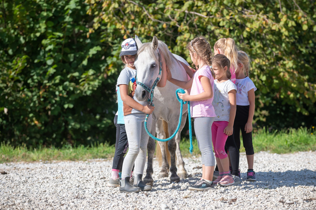Reiten, Reitpädagogik Graz/Deutschlandsberg/Steiermark