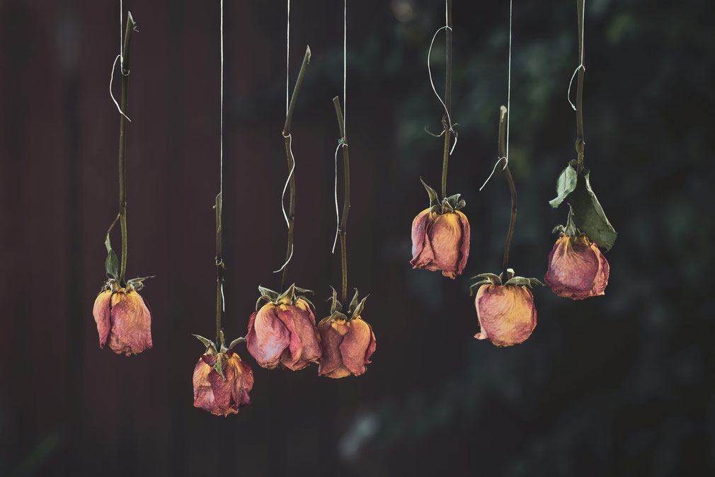 L'upcycling de bouquet de fleurs - Un Jour Un Oui - Tous droits réservés©