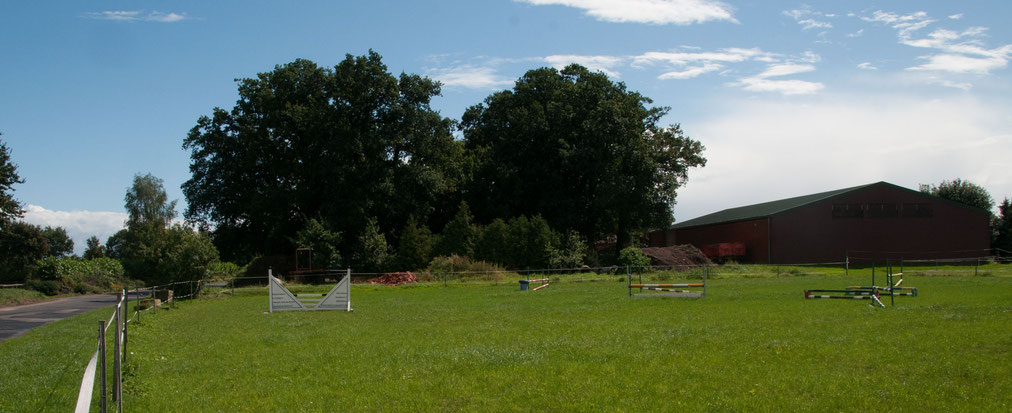 Grasspringplatz im Sommer