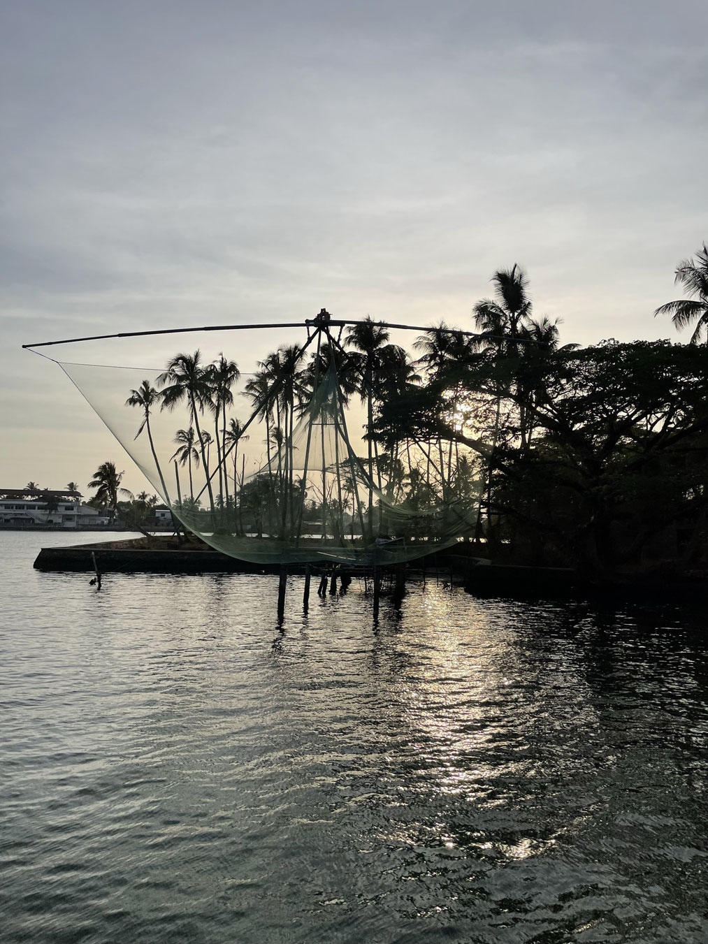 "Cruise through the historic Kochi Harbor which is home to hundreds of Chinese fishing nets"