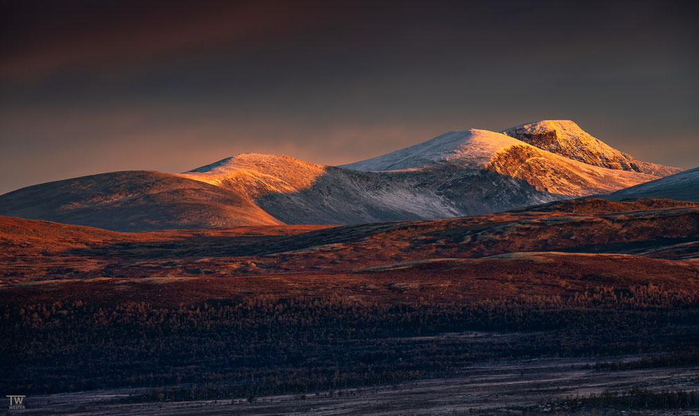 19) Morgens leuchteten die höheren Gipfel des Dovrefjell im besten Licht