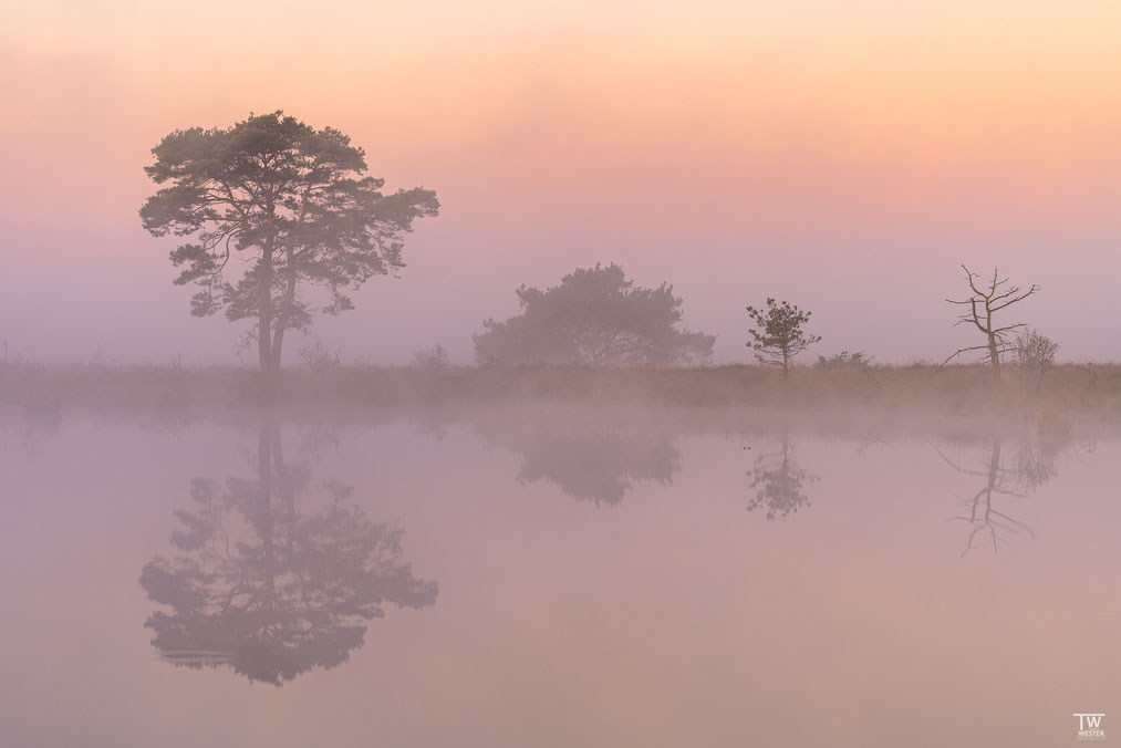 10 Nebel und Sonne – immer wieder ein toller Mix