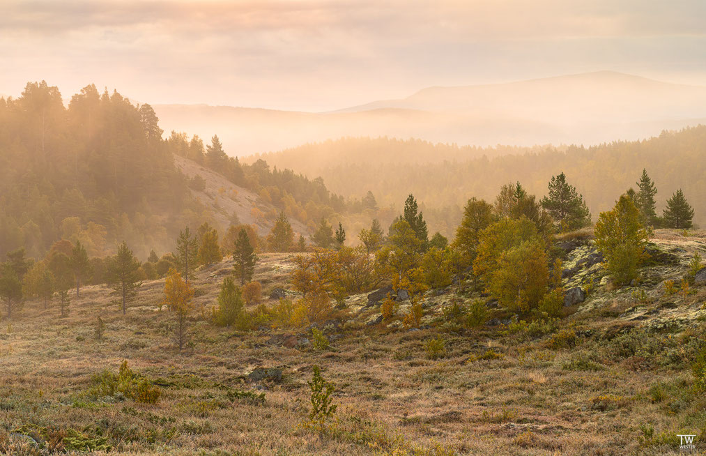 1) Gleich zu Beginn genossen wir den Anblick, wie sich der Frühnebel über die Hügel des Rondane legt
