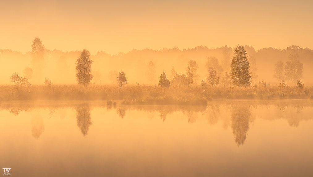 15 An diesem See kam die Morgensonne wunderbar durch…