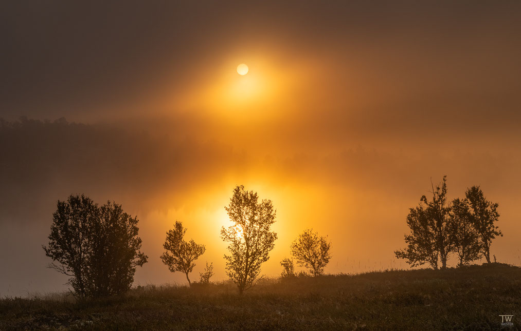 10) Am nächsten Morgen war es eiskalt, doch die Sonne schien wunderbar durch den Nebel und erwärmte das Fotografen-Herz