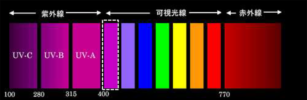 紫外線に近い可視光線400～420nm（ナノメートル）の図