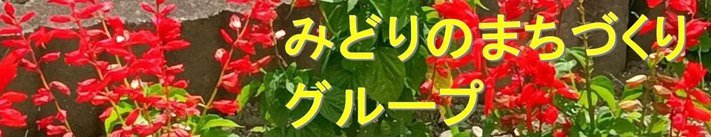 midorinomachi ページ！