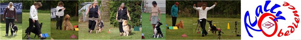 Rally Obedience im Osten Deutschlands