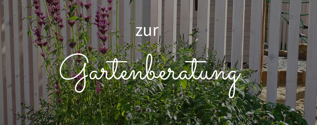 Zur Gartenberatung, Gartenplanung, Pflanzplanung, Hilfe bei der Umsetzung