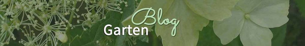 Zum Gartenblog mit Gartenthemen wie Blumenwiese anlegen, Garten im Herbst, Gründüngung, winterattraktive Gärten, Kräuterwanderungen, Naturgarten, Gartenexkursionen