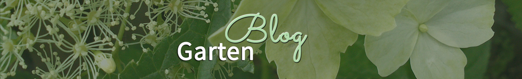 Zum Gartenblog mit Gartenthemen wie Blumenwiese anlegen, Garten im Herbst, Gründüngung, winterattraktive Gärten, Kräuterwanderungen, Naturgarten, Gartenexkursionen