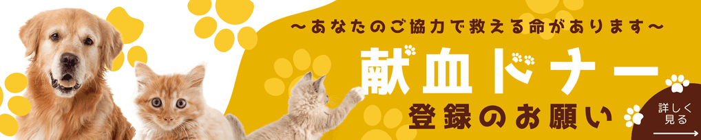 献血ドナー登録のお願い