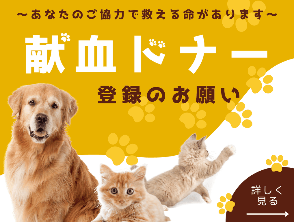 献血ドナー登録のお願い