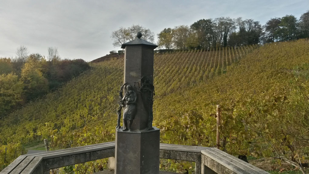 Im Weinberg mit Blick auf den Aussichtspunkt Hülle