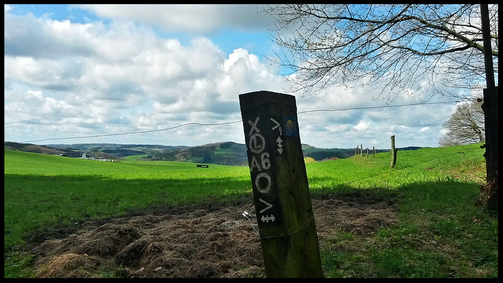 Die Wegekennzeichnung und Aussicht bei Erreichen des Querweges an der T-Kreuzung