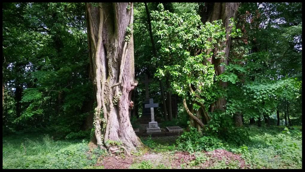 Kurfürstliche Ruhestätte auf Jahrhunderte altem Privatfriedhof der Kurfürsten zu Neuwied