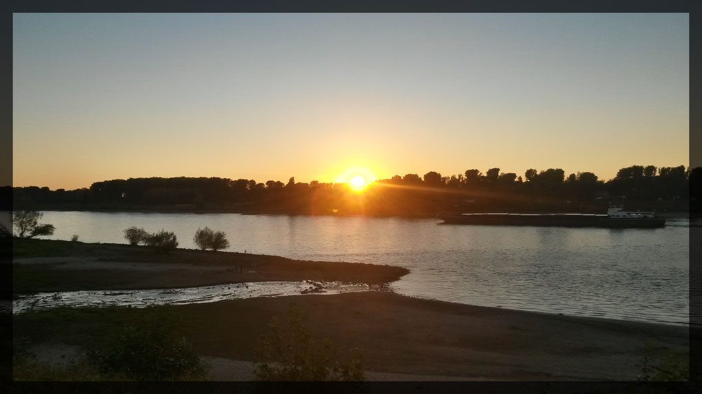 Am Benrather Schloßufer - Abendstimmung