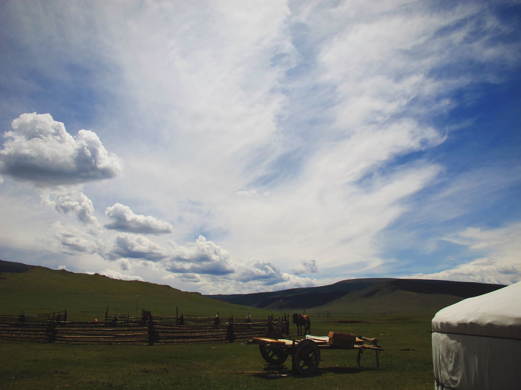 bigousteppes mongolie rencontre yourte lac steppes