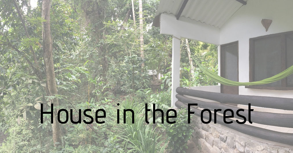Boutique hostel in the area of Minca and Santa Marta