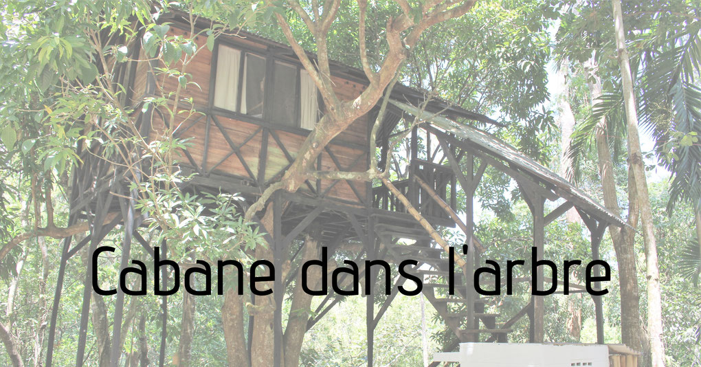 Boutique hostel in the area of Minca and Santa Marta