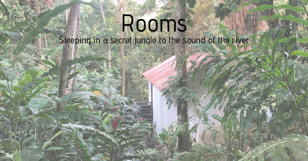 Boutique Hostel In the area of Minca and Santa Marta