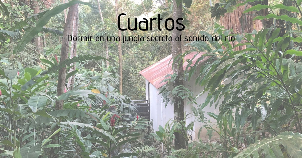Boutique hostel in the area of Minca and Santa Marta