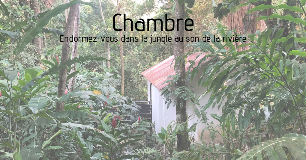 Boutique Hostel In the area of Minca and Santa Marta