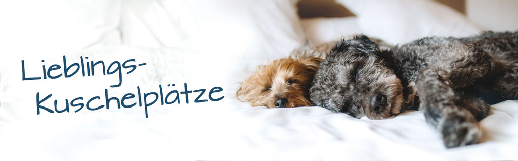 Hundestrand Schlafen Kuscheln Luxus Hundebetten Hundedecken Hundekissen 